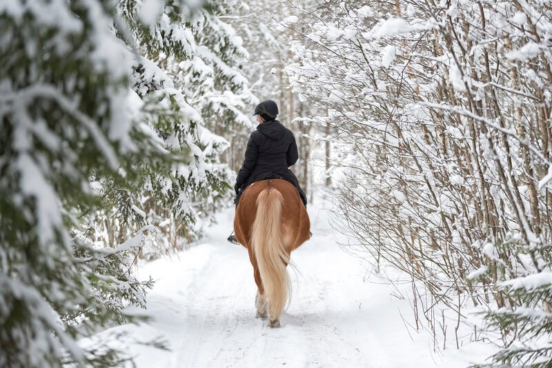 przejażdżka na koniu zimą