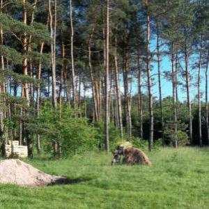 paintball mazury 6